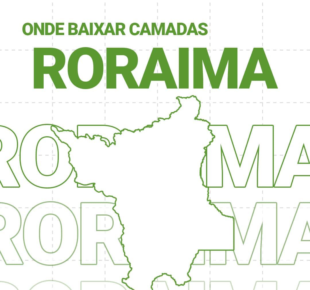 shapefile RORAIMA